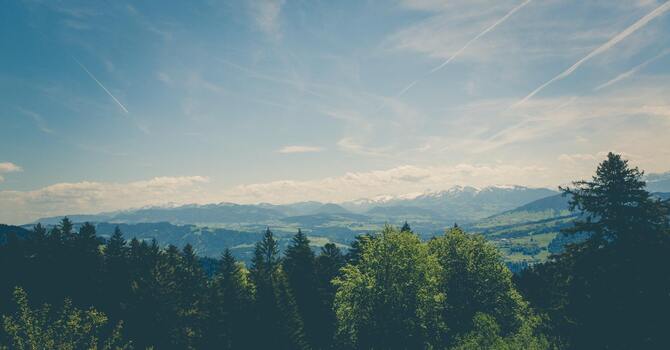 The Connection Between Posture and Chronic Pain